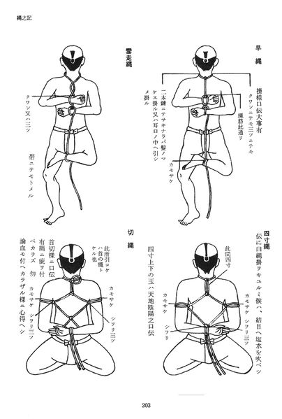 File:Hojojutsu2.jpg