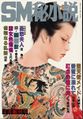 SMHishosetsu.jpg